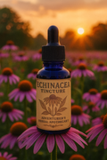 Echinacea Tincture 1oz